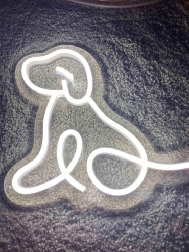 Unique Neon Sign Board Designs to Brighten Any Space