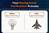 Trusted Background Verification Services in Mumbai – Spy Verification Services
