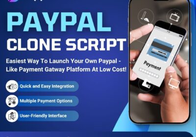 Dappsfirm-Paypal-Clone-Script