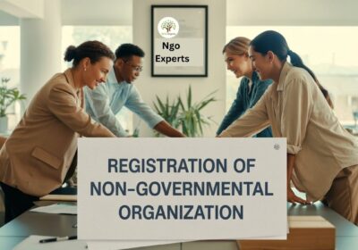 Ngo-Experts