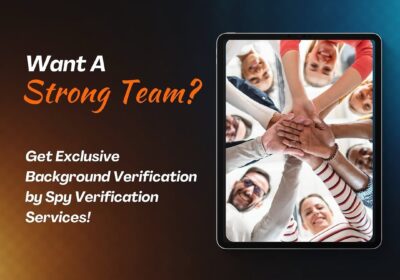 background-verification-agency