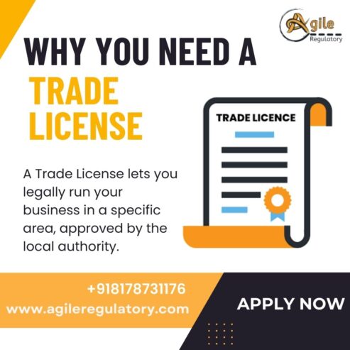 How to Renew Trade License Online in 2025 – Complete Assistance Available