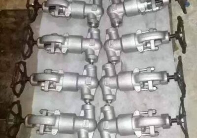 Bellow-Seal-Globe-Valve