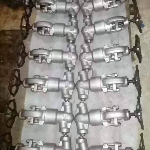 Bellow Seal Globe Valve Manufacturer in India