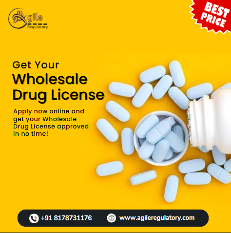 Wholesale Drug License: Expert Assistance in UP
