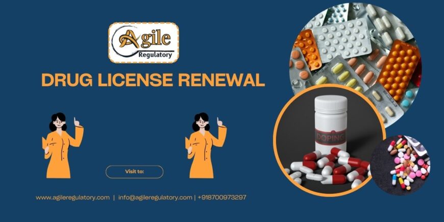 Looking for Drug License Renewal Services?