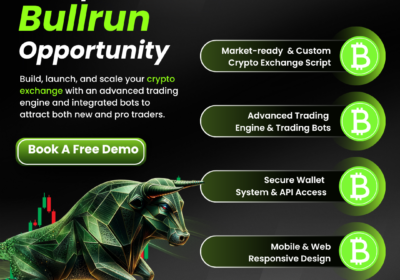 Entrepreneurs-Bullrun-Opportunity