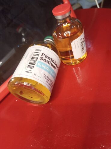 Comprar Nembutal en línea | comprar pentobarbital en línea | Comprar solución oral de pentobarbital sin receta