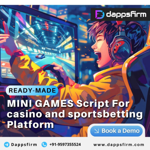 Mini Game Script Development by Experts – Budget Friendly & Fast