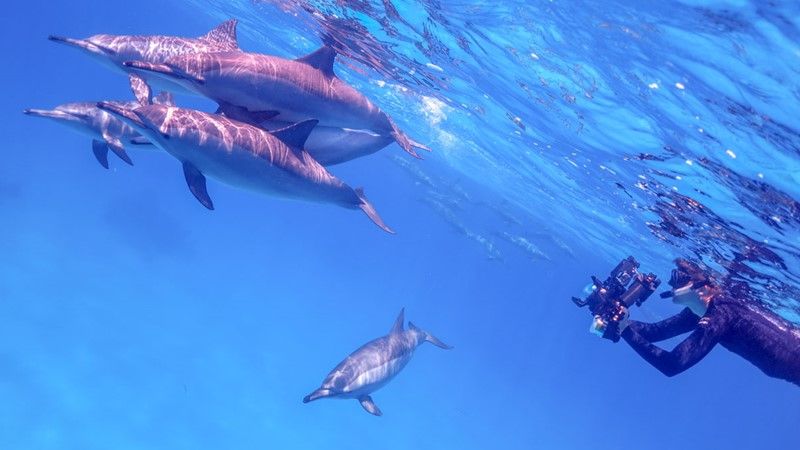 THINGS TO DO IN HURGHADA