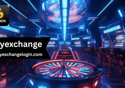 Skyexchange-2