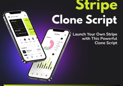 Stripe-Clone-Script-7.2.25-