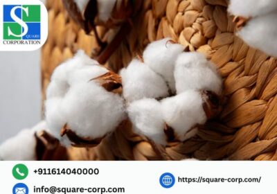 Untitled-design-37