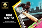 Online Cricket ID—Play in Seconds, Win Every Day Sign Up Now