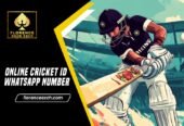Online Cricket ID—Play in Seconds, Win Every Day Sign Up Now