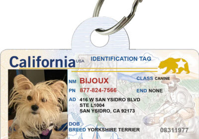 cali_web_1_5303bf45-5404-40aa-9b9c-7e137a12f678_grande