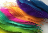 S D International – Dye Manufacturer