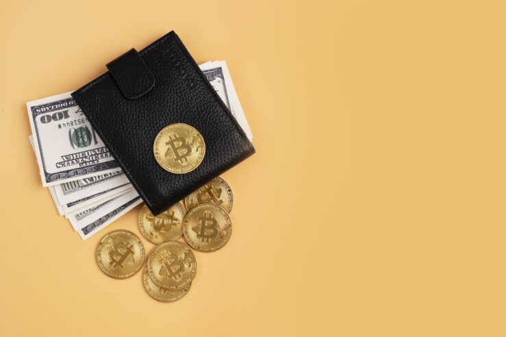 Looking for a non-custodial wallet solution?