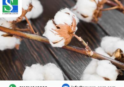 textile-mills-in-gujarat-3
