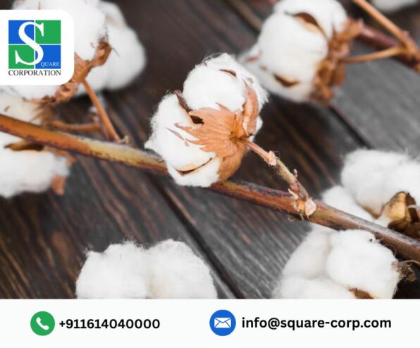 Trusted Cotton Yarn Traders in India – Square Corporation