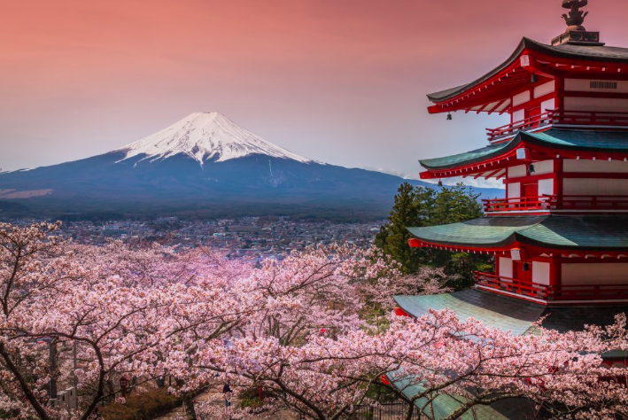 Bridging the Old and New with Osaka Tours and Kyoto Tours