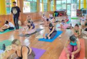 200 Hour Yoga Teacher Training in Rishikesh