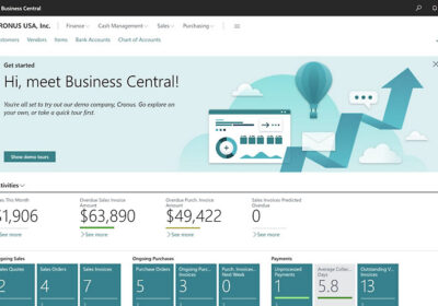 Business-Central-1
