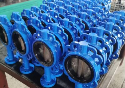 Butterfly-Valve