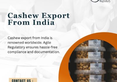 Cashew-Export-from-India