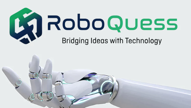 Cyber Quess – Cybersecurity & Compliance Consulting Experts in India