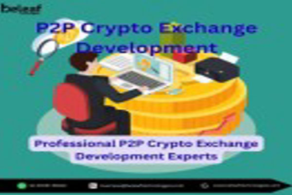 Professional P2P Crypto Exchange Development Experts