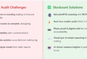 All-in-One Stock Audit Tool – Fast, Simple & Scalable! -Free Trial