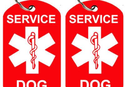 Service_Dog_400x_crop_center