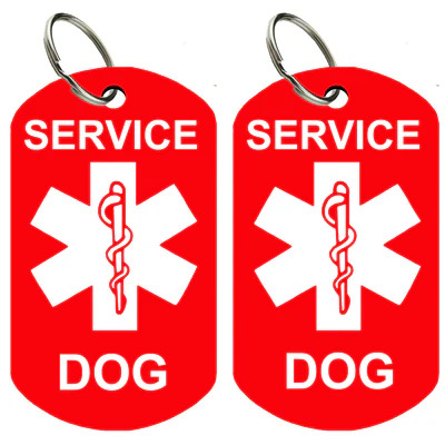 Service Dog Collar – Durable & Official Identification