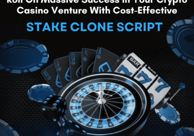 Stake-Clone-for-crypto-casino-venture