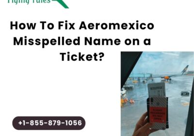 aeromexico-misspelled-name