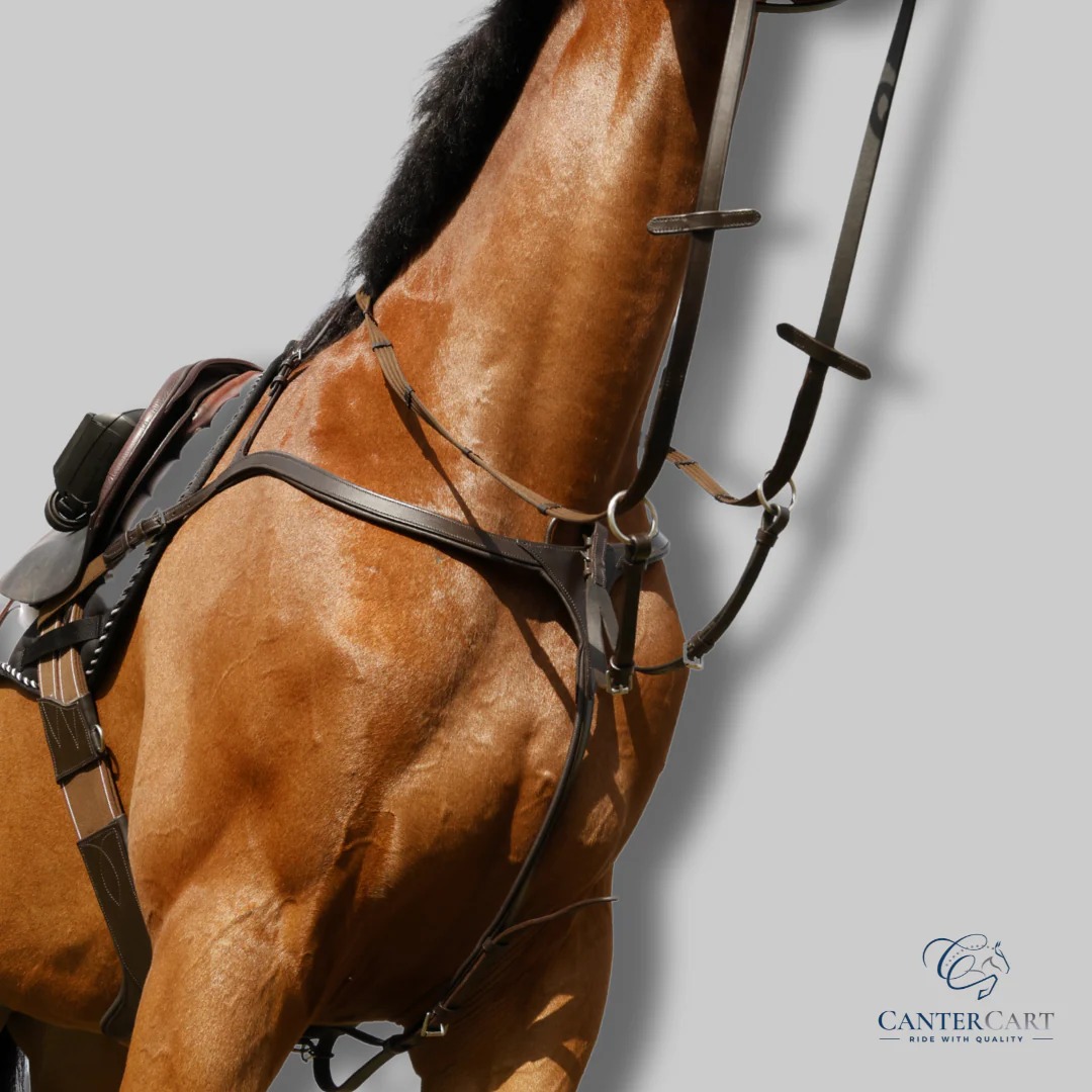 Affordable Horse Tack for All Riders CanterCart
