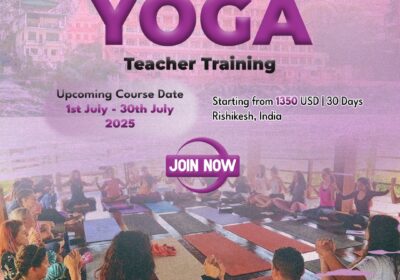 snapins-ai_3654046086610054837-1