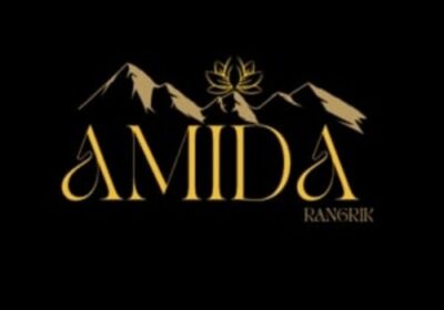 AMIDA-logo-500-x-500
