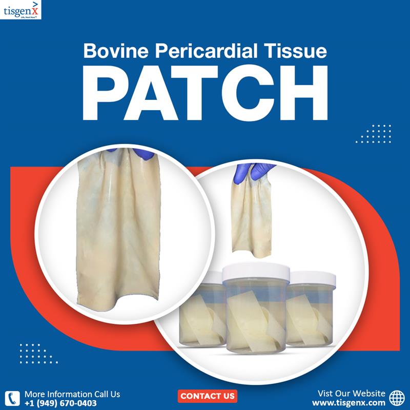 Bovine Pericardial Tissue Patch