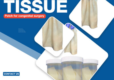 Bovine-Pericardial-Tissue-Patchfor-congenital-surgery