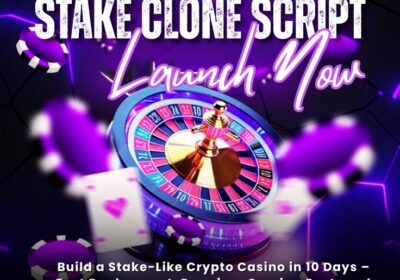 Build-a-Stake-Like-Crypto-Casino-in-10-Days-–-Fast-Deployment-Premium-Gaming-Features