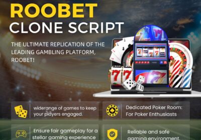 Dappsfirm-Roobet-Clone-Script