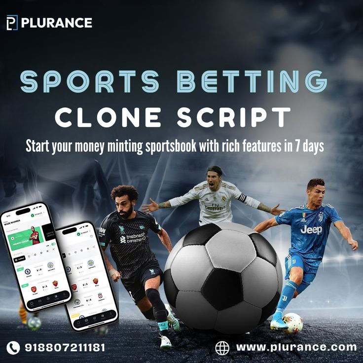 Plurance Delivers the Ultimate Sports Betting Clone Software for Investors