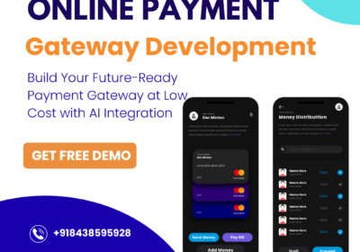 Online-Payment-gateway-development