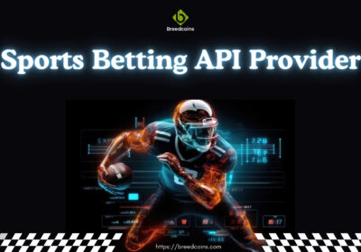 Sports-Betting-API-Provider