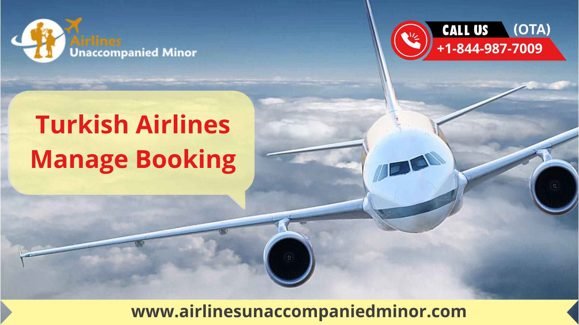 What is Turkish Airlines Manage Booking?