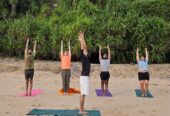 200 Hour Yoga Teacher Training In India​