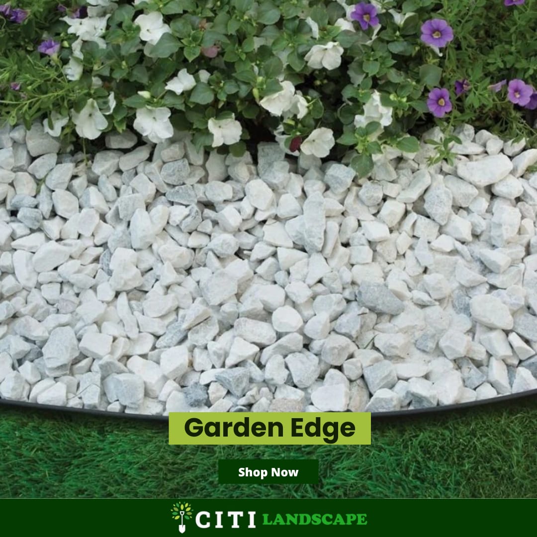 Gardening and Softscape: Create a Beautiful Garden That Reflects Your Style