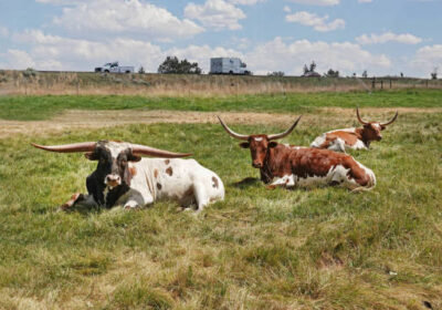 gettyimages-1413144413-612×612-1